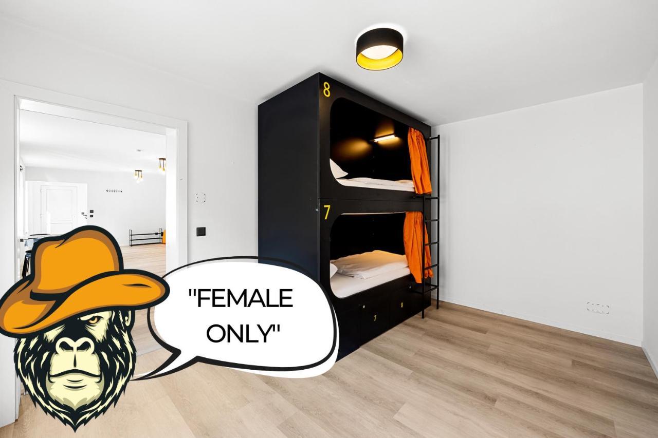 Stadtaffe - Chic Vie Hostel Wien